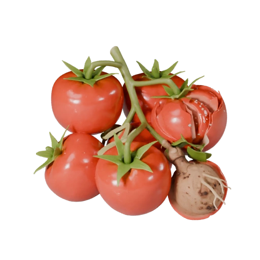 Chopped Tomato Cluster 3D Asset for Studio Catalogs