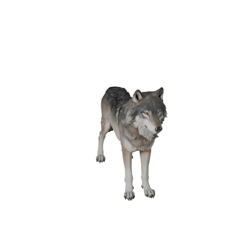 Hohe Poly Grauer Wolf 3D Modell - Detailliertes STL-Asset zum Drucken