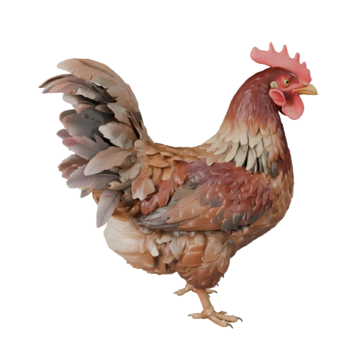 Chicken 3D Model for Blender - PBR Asset with Textures | PBR