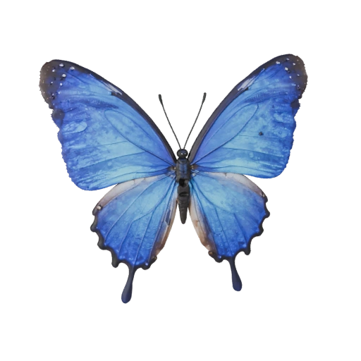 Modèle 3D Papillon Morpho Bleu pour Blender - Asset PBR avec Textures
