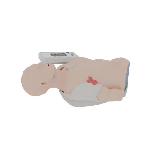 First Aid Cpr Torso Trainer 3D Asset for Simulation