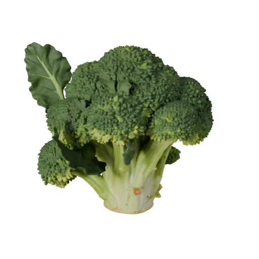 Chopped Broccoli Head 3D Cinematic Asset for Studio