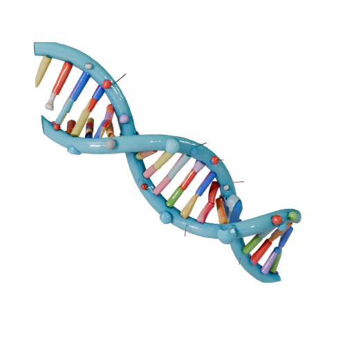 Classroom DNA Helix 3D Game Asset for Indie Levels