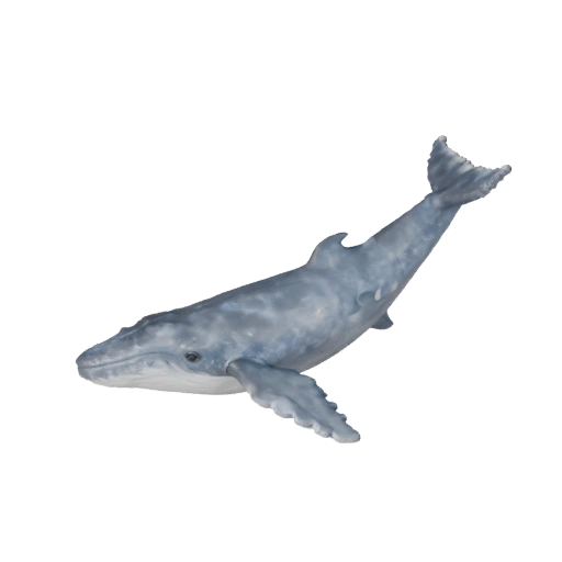 Modèle 3D Baleine Bleue Réaliste - Asset PBR Riggué pour Jeux