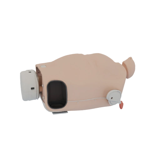 Nursing Cpr Torso Trainer 3D Hero Asset for Studio