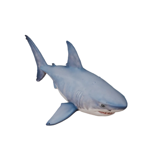 Modèle 3D de Grand Requin Blanc Dessin Animé - Asset Stylisé pour l'Animation