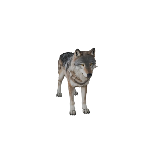 Grauer Wolf 3D-Modell für Unity - Spielfertiges Asset, FBX | Lizenzfrei