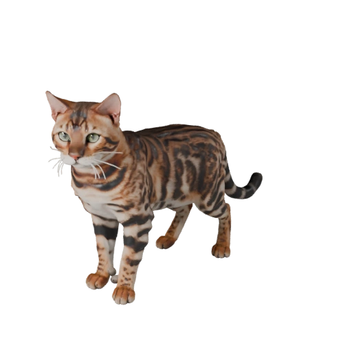 Realistic Bengal Cat 3D Model - Rigged PBR Asset for Games