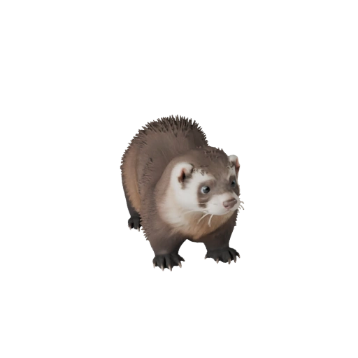 نموذج ثلاثي الأبعاد لـ Ferret لوحدة Unity - أصل جاهز للألعاب، FBX | مجاني للاستخدام