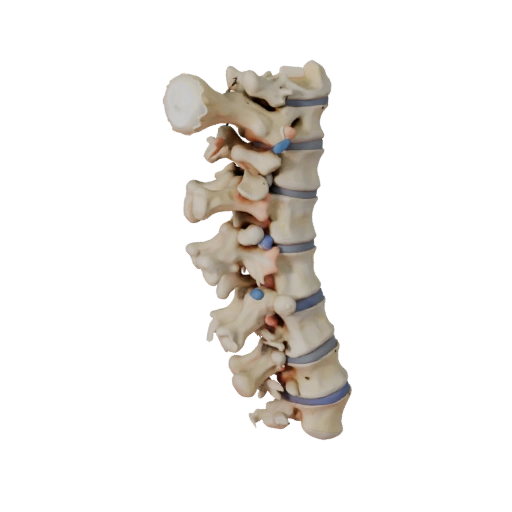 Spine Style Column 3D Game Asset for Casual Levels