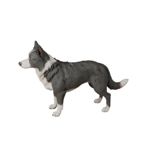 Modelo 3D de Cachorro Border Collie Desenho Animado - Asset Estilizado para Animação