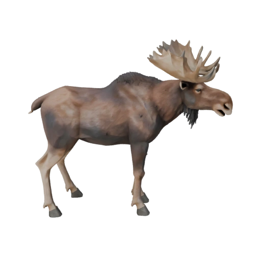 Modèle 3D d'élan low poly - Asset de jeu Unity avec FBX | Libre de droits