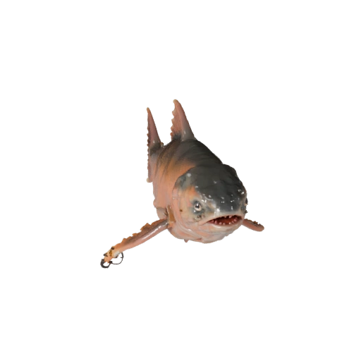 Realistic Salmon 3D Model - Rigged PBR Asset for Games | PBR