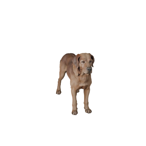 Modello 3D Cane Realistico - Asset PBR Rigged per Giochi | Royalty-Free