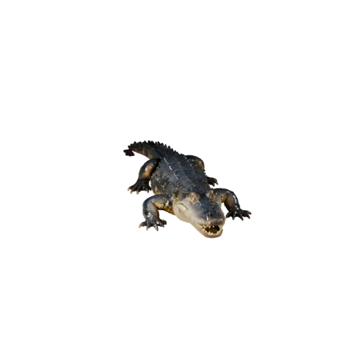 Realistic Caiman 3D Model - Rigged PBR Asset for Games | PBR