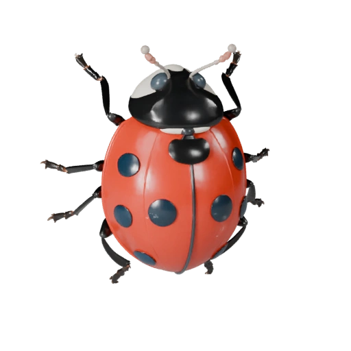 Ladybug 3D Model for Unity - Game Ready Asset, FBX | Royalty-Free