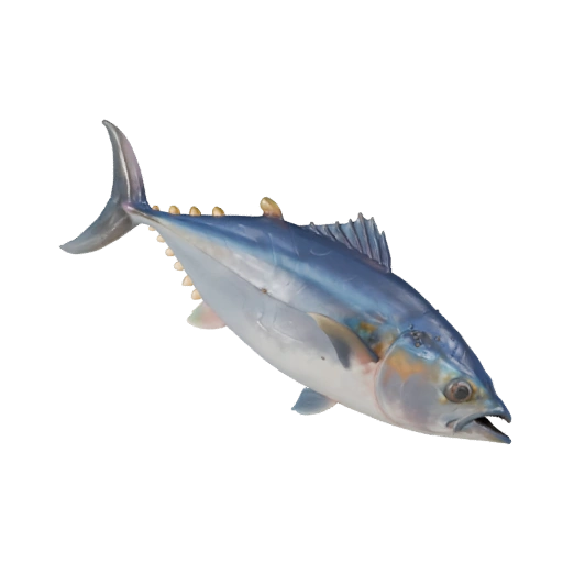 Realistic Tuna 3D Model - Rigged PBR Asset for Games | Royalty-Free