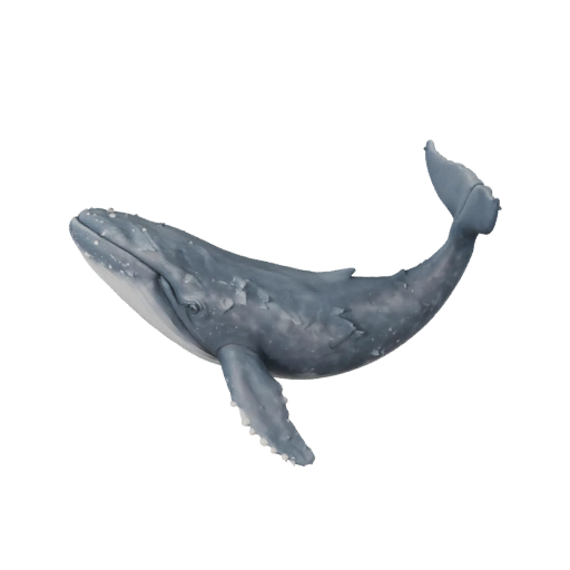 Blauwal 3D-Modell für Blender - PBR-Asset mit Texturen | PBR