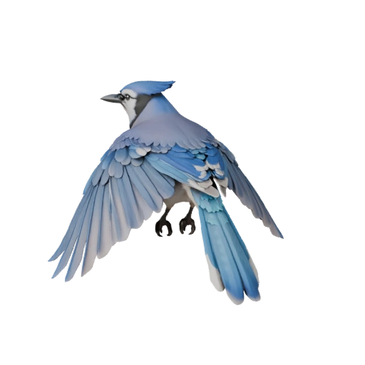 Blue Jay 3D Model for Blender - PBR Asset with Textures | PBR