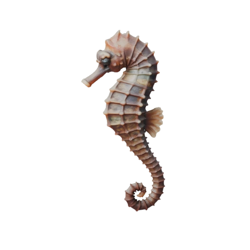 Hippocampe Haute Poly Modèle 3D - Actif STL Détaillé pour Impression