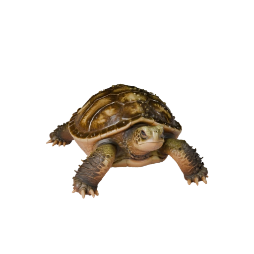 Realistische Schnappschildkröte 3D-Modell - Rigged PBR Asset für Spiele