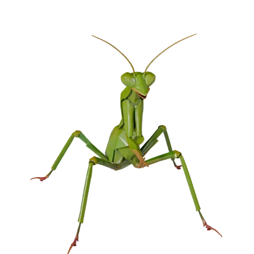 Low Poly Praying Mantis 3D Model - Unity Game Asset with FBX