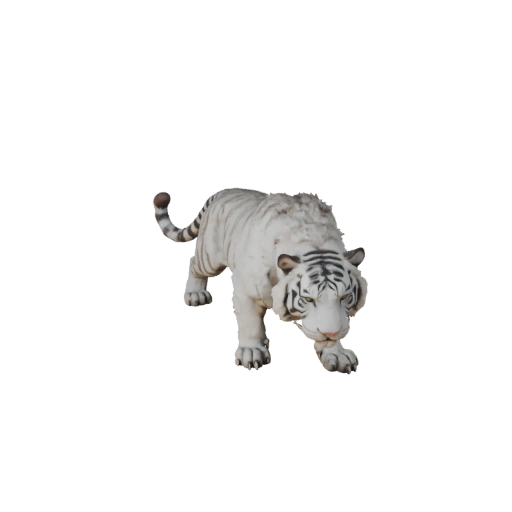 3D модель Белого тигра для Unity - Готовый игровой ассет, FBX | PBR