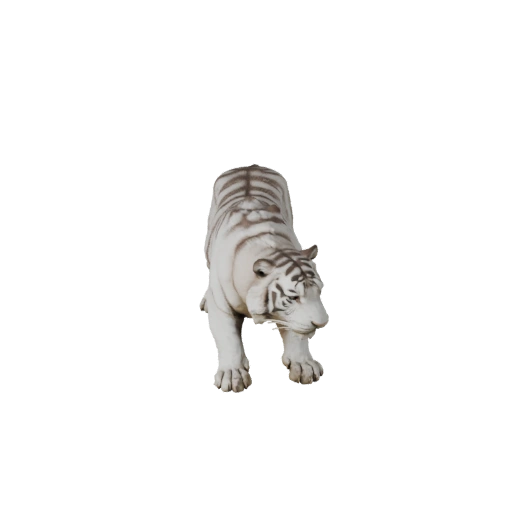 Реалистичный 3D модель белого тигра - Rigged PBR Asset для игр