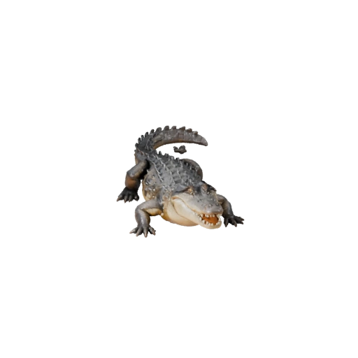 Crocodile 3D Model for Blender - PBR Asset with Textures | PBR