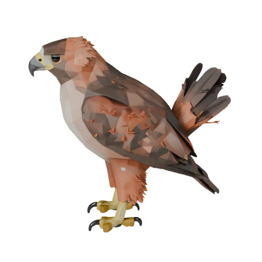 Low Poly Red Tailed Hawk 3D Model - Unity Game Asset with FBX
