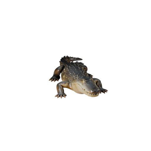 Low Poly Caiman 3D Model - Unity Game Asset with FBX | Royalty-Free