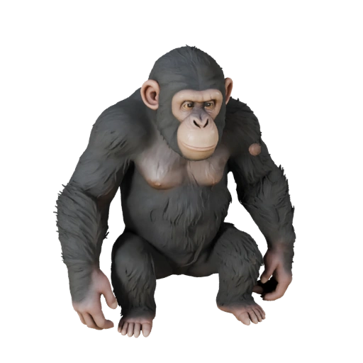 Chimpanzee 3D Model for Blender - PBR Asset with Textures | PBR