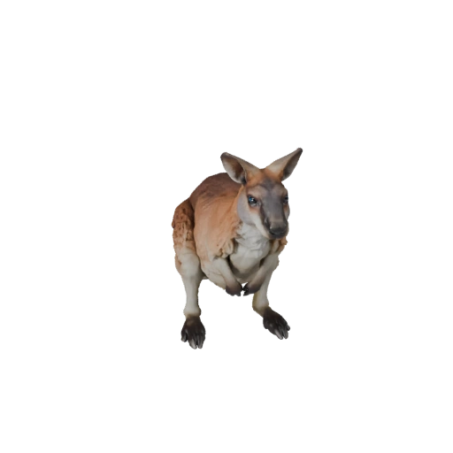 Реалистичный 3D модель валлаби - rigged PBR ассет для игр | PBR
