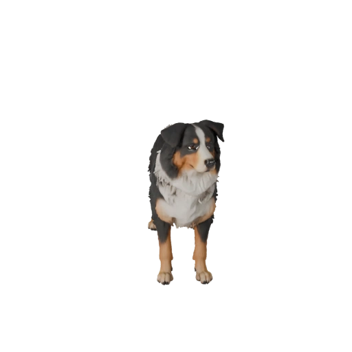 Australian Shepherd Dog 3D Model for Unity - Game Ready Asset, FBX
