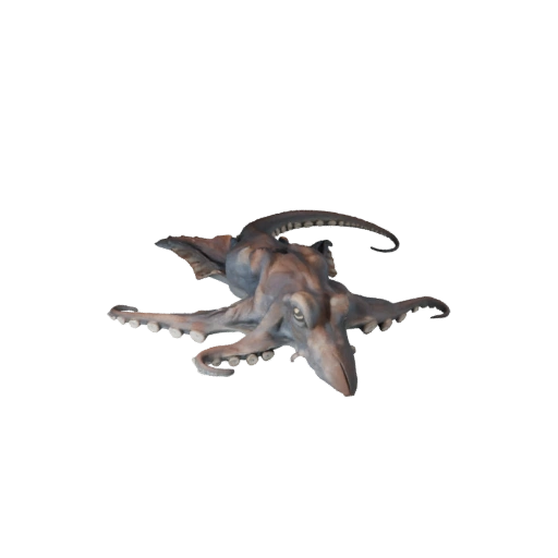 Realistic Octopus 3D Model - Rigged PBR Asset for Games | PBR