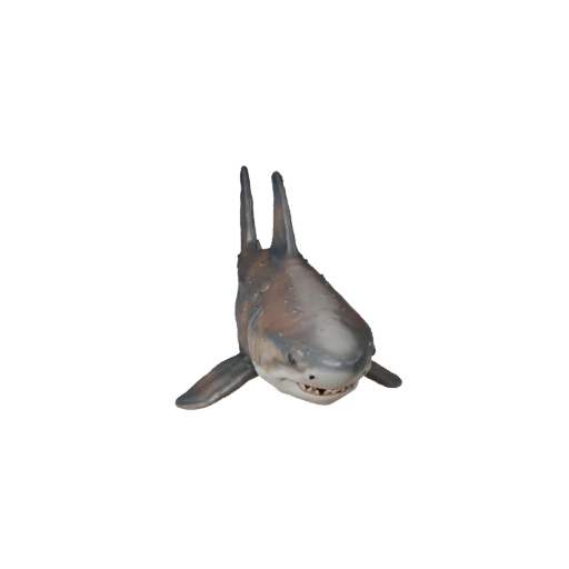 Tiger Shark 3D Model for Blender - PBR Asset with Textures