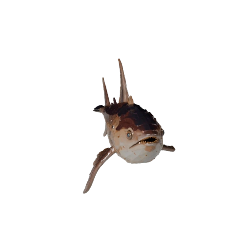 Modèle 3D de Marlin Low Poly - Asset de Jeu Unity avec FBX | Libre de Droits