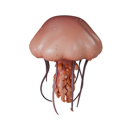 Modèle 3D de Méduse Cartoon - Asset Stylisé pour Animation | PBR