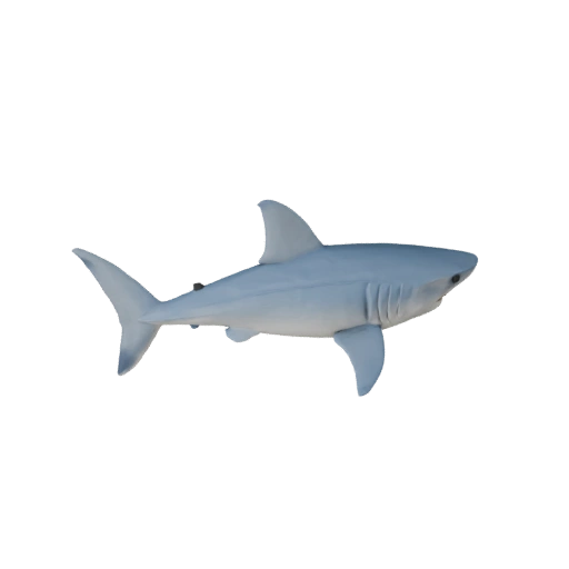 Grand Requin Blanc Haute Poly Modèle 3D - Actif STL pour Impression