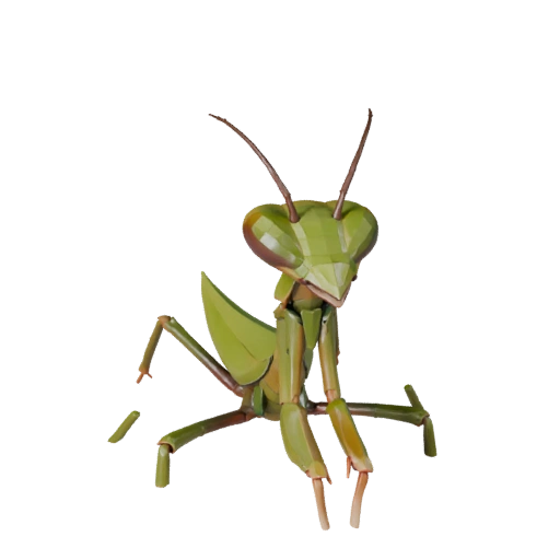 Praying Mantis 3D Model for Unity - Game Ready Asset, FBX | PBR