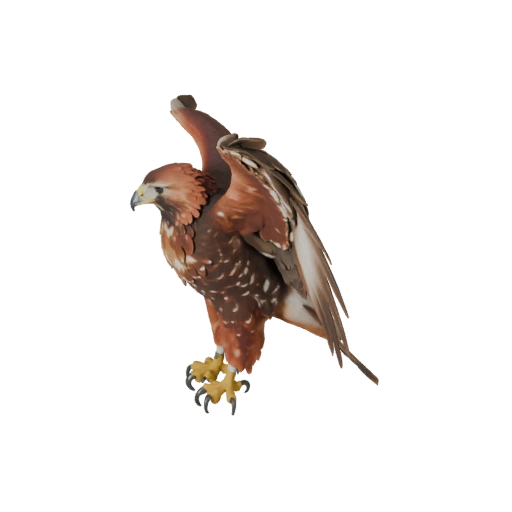 Realistic Red Tailed Hawk 3D Model - Rigged PBR Asset for Games