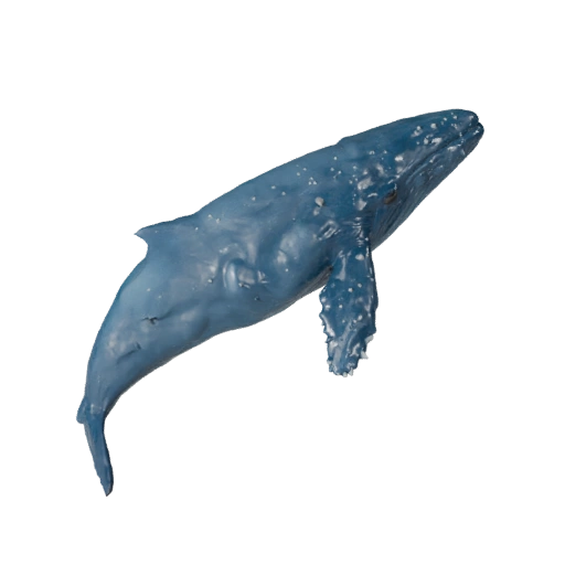 Beluga Whale 3D Model for Unity - Game Ready Asset, FBX | PBR