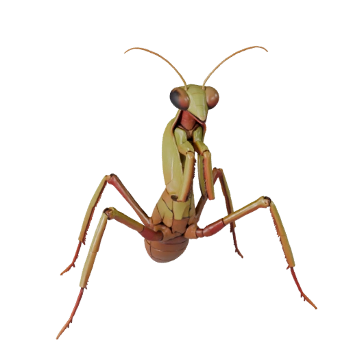 Praying Mantis 3D Model for Blender - PBR Asset with Textures