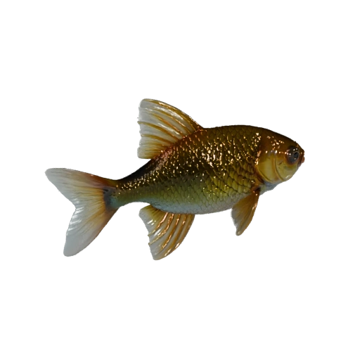 Goldfish 3D Model for Unity - Game Ready Asset, FBX | Royalty-Free