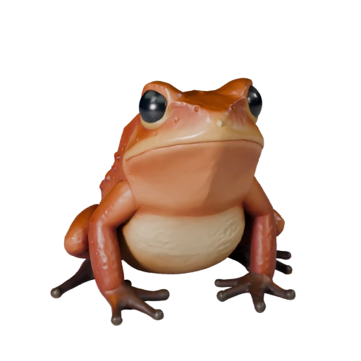 High Poly Poison Dart Frog 3D Model - STL Asset for Printing