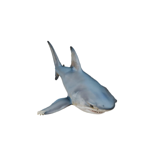 Modèle 3D de grand requin blanc pour Unity - Actif prêt pour le jeu, FBX