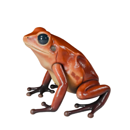 Cartoon Poison Dart Frog 3D Model - Stylized Asset for Animation