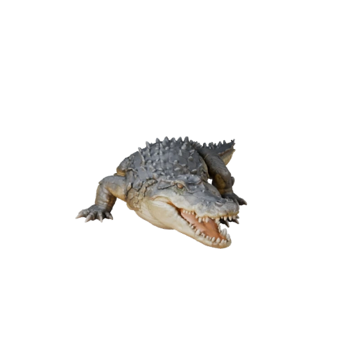 Realistic Crocodile 3D Model - Rigged PBR Asset for Games | PBR