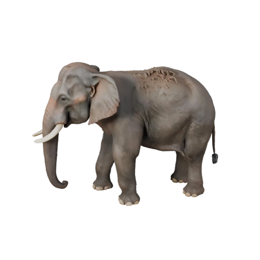 Elefante Asiático 3D Model para Blender - Asset PBR com Texturas