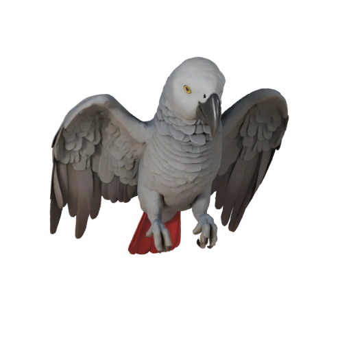 Modelo 3D Realista de Papagaio-cinzento-africano - Ativo PBR Rigged para Jogos